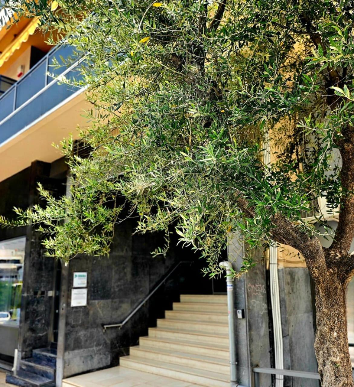 Diocharous Garden Apartment Афины Экстерьер фото